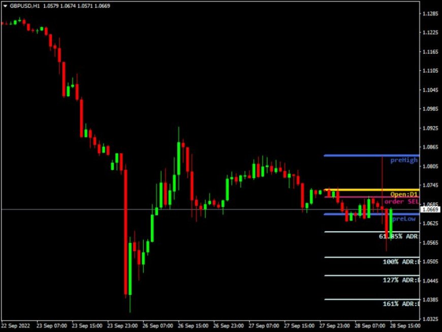 Digital X-DAILY TARGETS