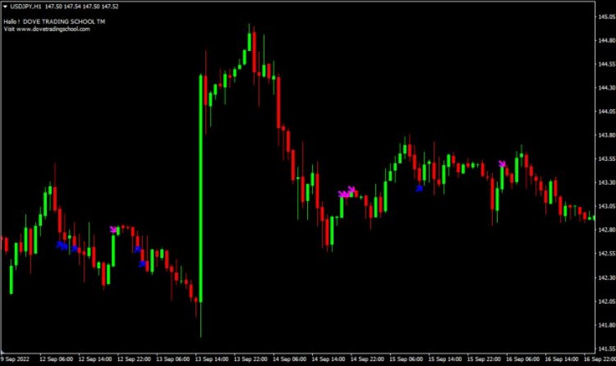 KENOX Binary Indicator