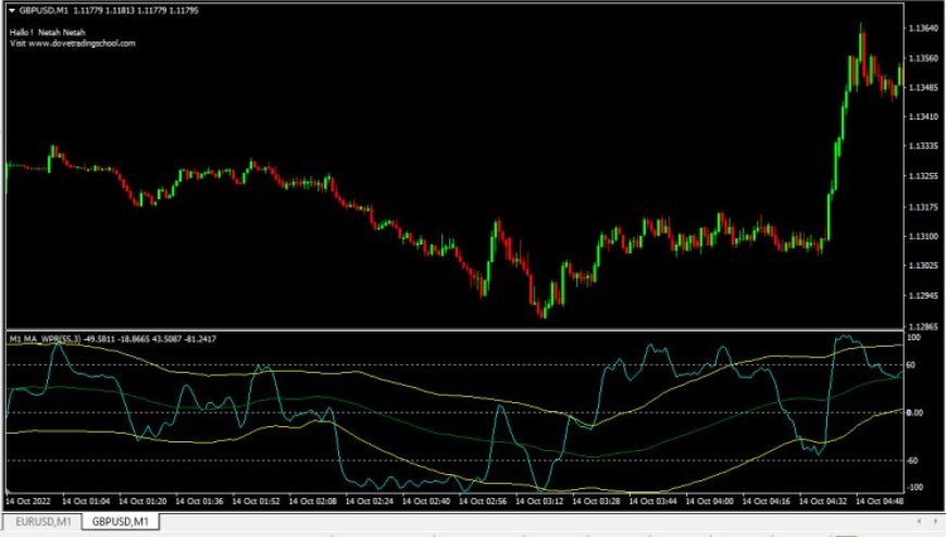 VininI_BB_MA_WPR5v1.01