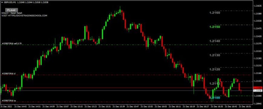 PLevels Forex Indicators