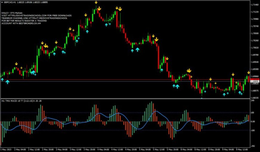 TMA Centered MACD v8 Forex Indicator