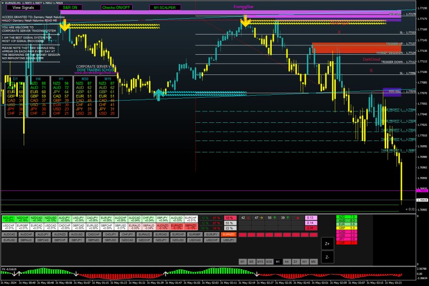 Corporate Server Signal Software MT5 V7.24