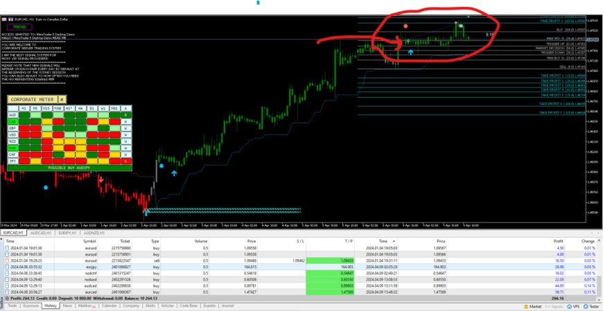 Corporate Server Signal Software MT5 V7.24