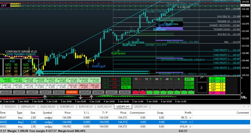 Corporate Server Forex Signal Software With EAs - Unlimited License