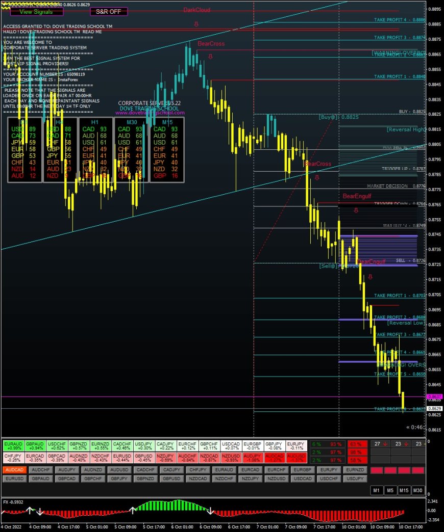 Corporate Server Forex Signal Software With EAs - Unlimited License