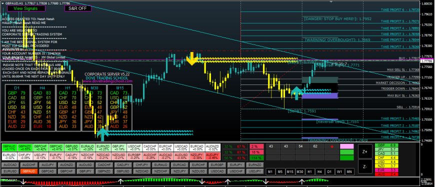 Corporate Server Forex Signal Software With EAs - Unlimited License