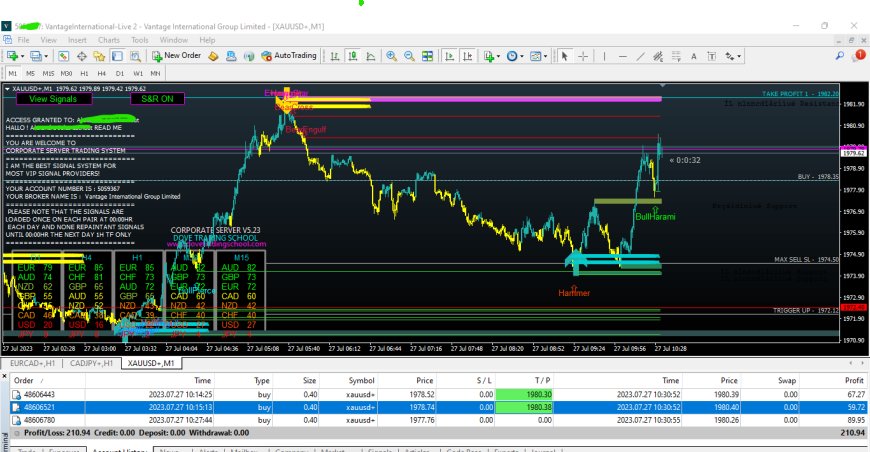 Corporate Server Forex Signal Software With EAs - Unlimited License